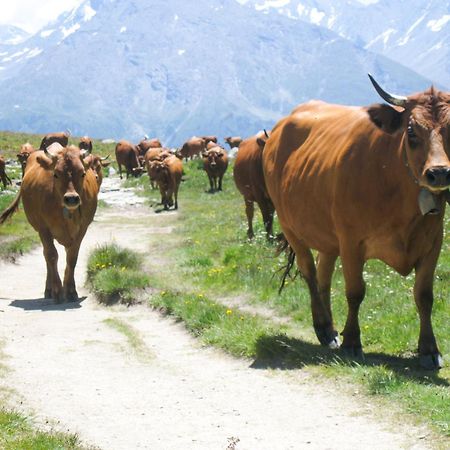 Aux Portes Du Parc National De La Vanoise Appartement Termignon Val Cenis Avec Wifi Εξωτερικό φωτογραφία