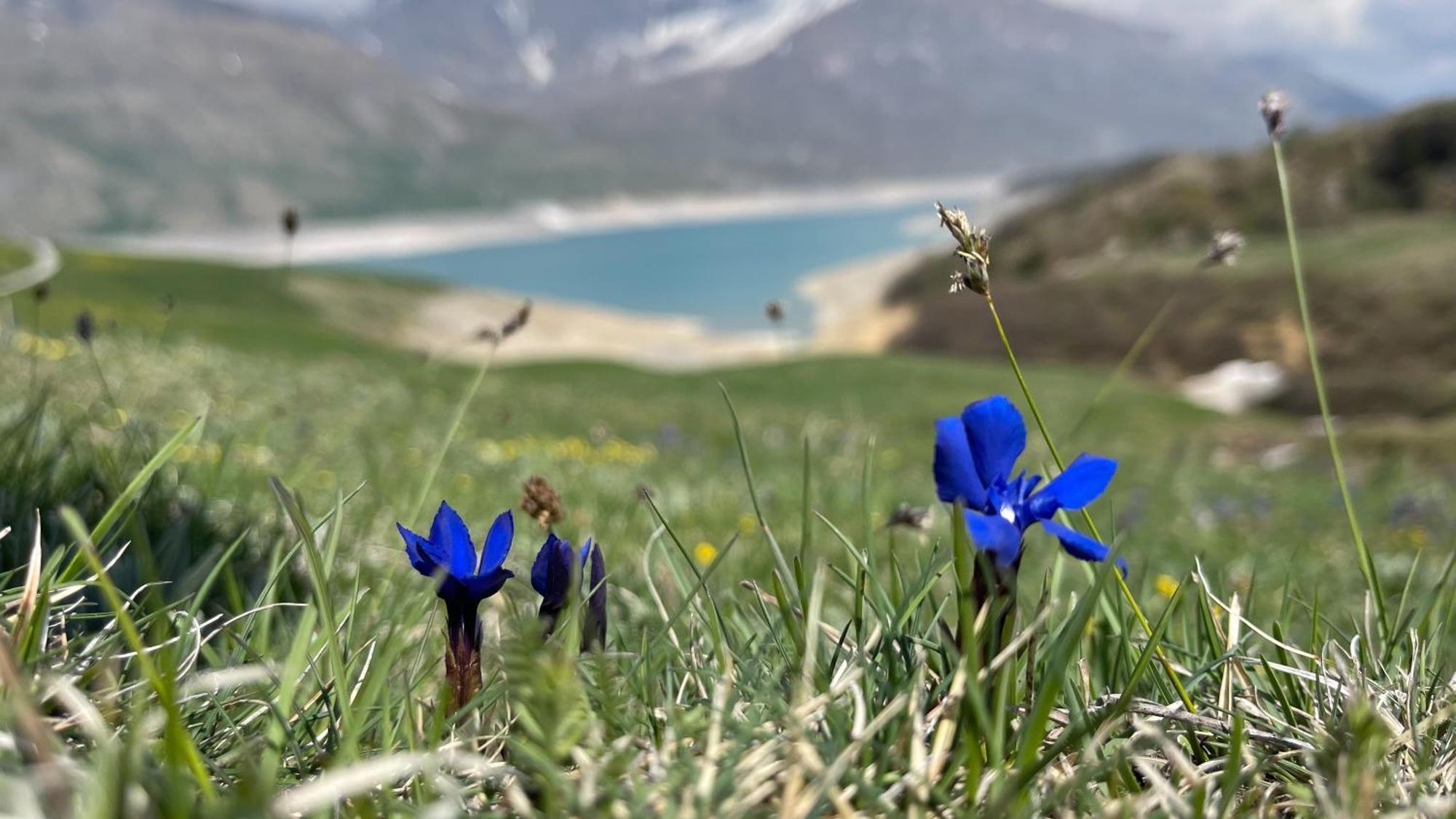 Aux Portes Du Parc National De La Vanoise Appartement Termignon Val Cenis Avec Wifi Εξωτερικό φωτογραφία