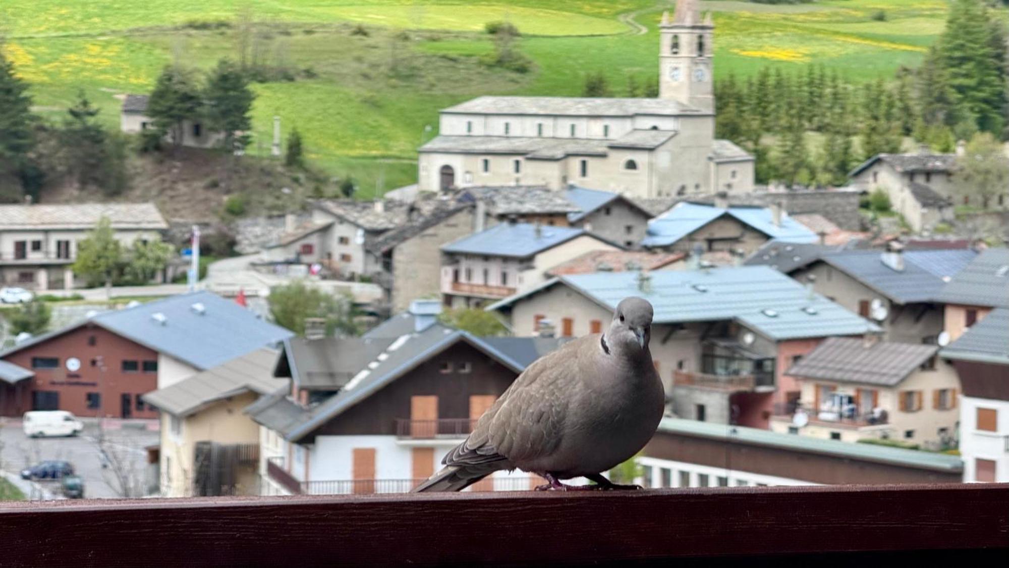 Aux Portes Du Parc National De La Vanoise Appartement Termignon Val Cenis Avec Wifi Εξωτερικό φωτογραφία
